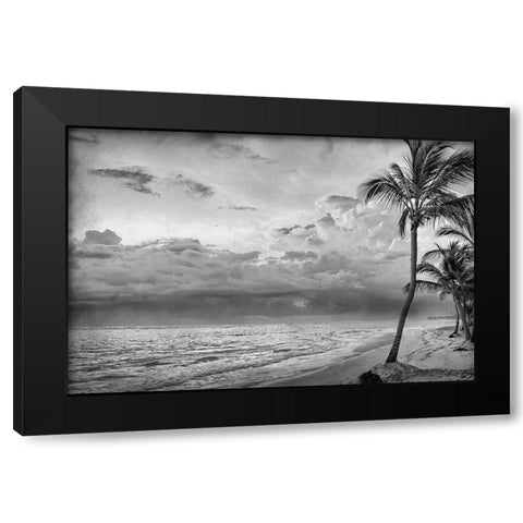 Beach Days Black Modern Wood Framed Art Print by Kimberly, Allen