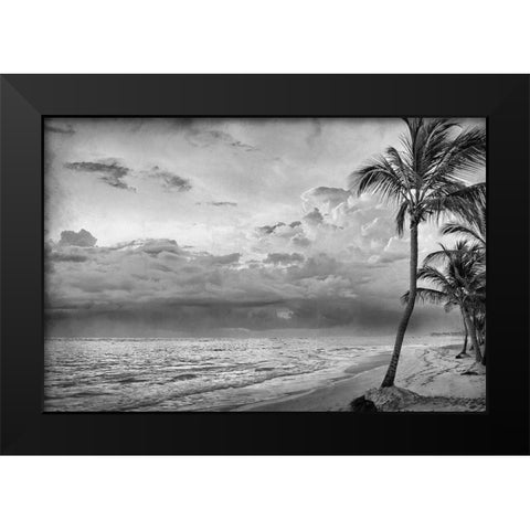 Beach Days Black Modern Wood Framed Art Print by Kimberly, Allen