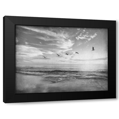 Soaring Above The Sea Black Modern Wood Framed Art Print by Kimberly, Allen