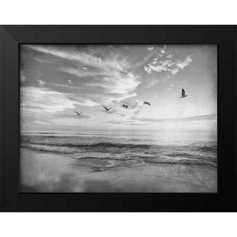 Soaring Above The Sea Black Modern Wood Framed Art Print by Kimberly, Allen