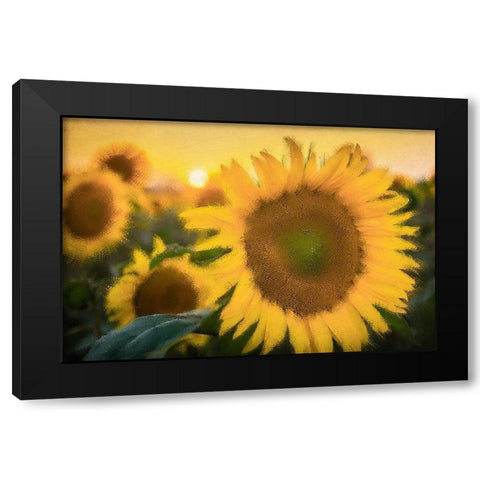 Morning Gold Black Modern Wood Framed Art Print by Kimberly, Allen