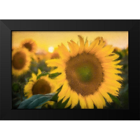 Morning Gold Black Modern Wood Framed Art Print by Kimberly, Allen