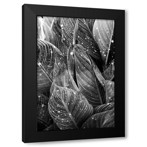 Midnight Palm Leaves 1 bw Black Modern Wood Framed Art Print with Double Matting by Allen, Kimberly