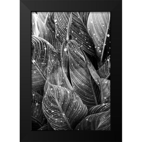 Midnight Palm Leaves 1 bw Black Modern Wood Framed Art Print by Allen, Kimberly