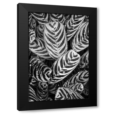 Midnight Palm Leaves 2 bw Black Modern Wood Framed Art Print with Double Matting by Allen, Kimberly