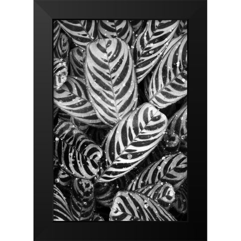 Midnight Palm Leaves 2 bw Black Modern Wood Framed Art Print by Allen, Kimberly
