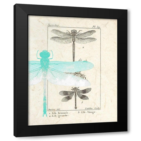 Field Guide 1 Black Modern Wood Framed Art Print with Double Matting by Allen, Kimberly