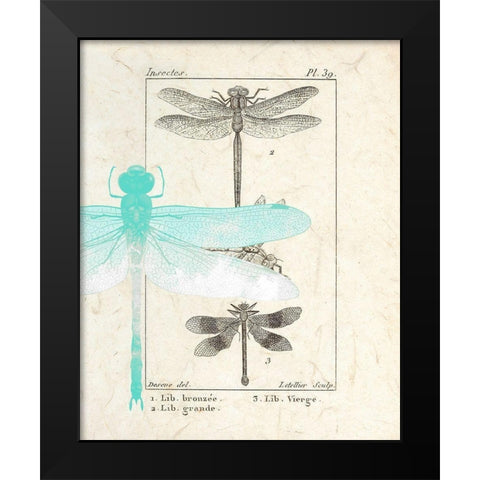Field Guide 1 Black Modern Wood Framed Art Print by Allen, Kimberly