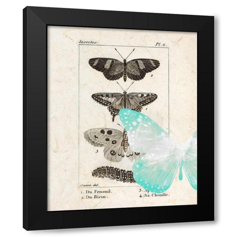 Field Guide 2 Black Modern Wood Framed Art Print with Double Matting by Allen, Kimberly