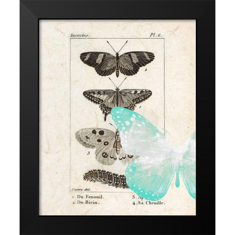Field Guide 2 Black Modern Wood Framed Art Print by Allen, Kimberly