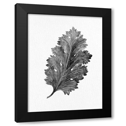 Acanthus Leaf 2 Black Modern Wood Framed Art Print with Double Matting by Allen, Kimberly