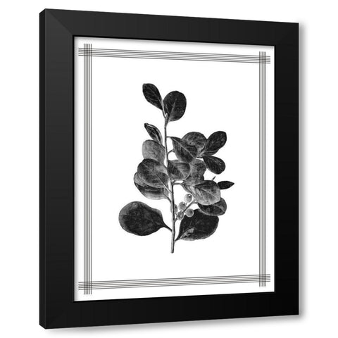 Pressed 1 Black Modern Wood Framed Art Print with Double Matting by Allen, Kimberly