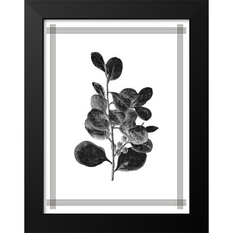 Pressed 1 Black Modern Wood Framed Art Print by Allen, Kimberly