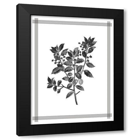 Pressed 2 Black Modern Wood Framed Art Print with Double Matting by Allen, Kimberly