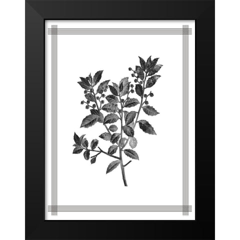 Pressed 2 Black Modern Wood Framed Art Print by Allen, Kimberly