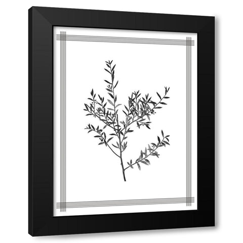 Pressed 3 Black Modern Wood Framed Art Print by Allen, Kimberly