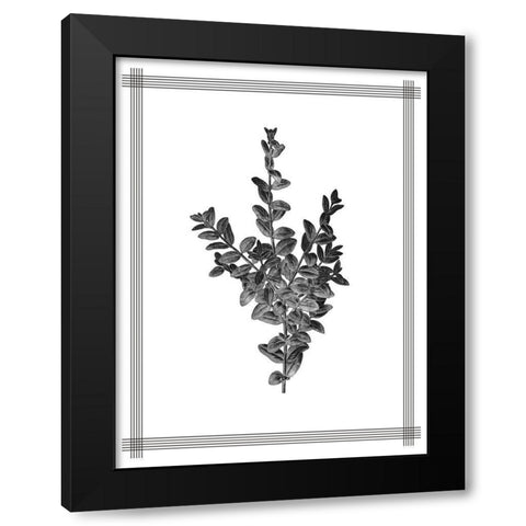 Pressed 4 Black Modern Wood Framed Art Print by Allen, Kimberly