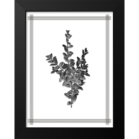 Pressed 4 Black Modern Wood Framed Art Print by Allen, Kimberly