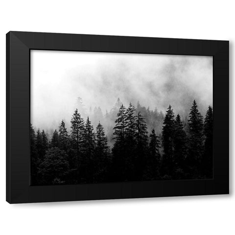 Foggy Morning Black Modern Wood Framed Art Print with Double Matting by Allen, Kimberly