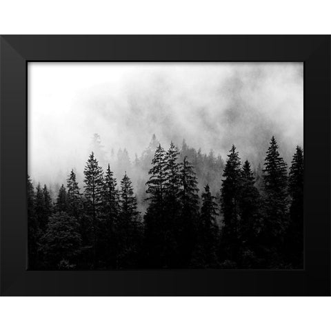 Foggy Morning Black Modern Wood Framed Art Print by Allen, Kimberly