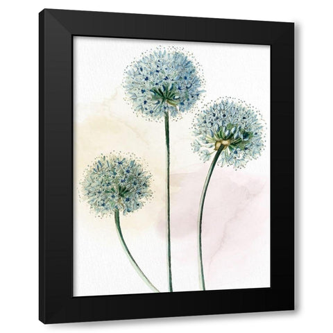 Watercolor Dandelion Black Modern Wood Framed Art Print with Double Matting by Allen, Kimberly