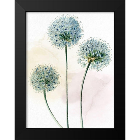 Watercolor Dandelion Black Modern Wood Framed Art Print by Allen, Kimberly