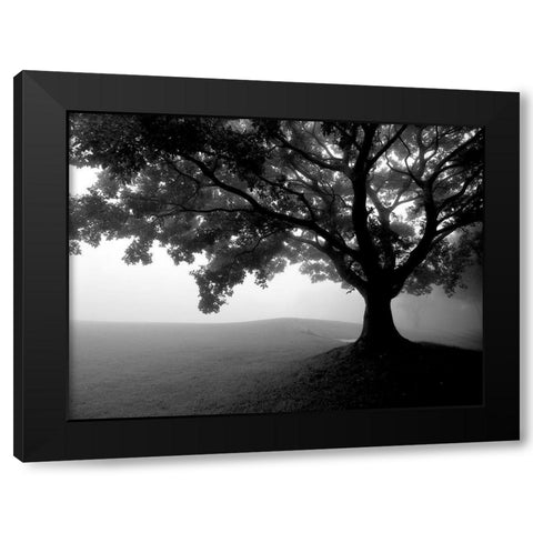 Early Morning Fog Black Modern Wood Framed Art Print by Allen, Kimberly