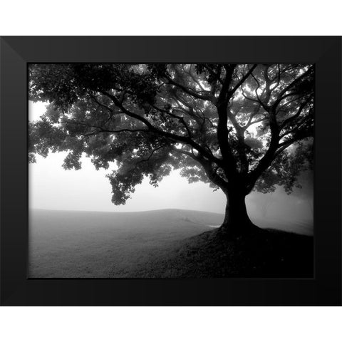 Early Morning Fog Black Modern Wood Framed Art Print by Allen, Kimberly