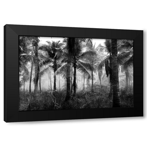 Palms Black And White Black Modern Wood Framed Art Print with Double Matting by Allen, Kimberly