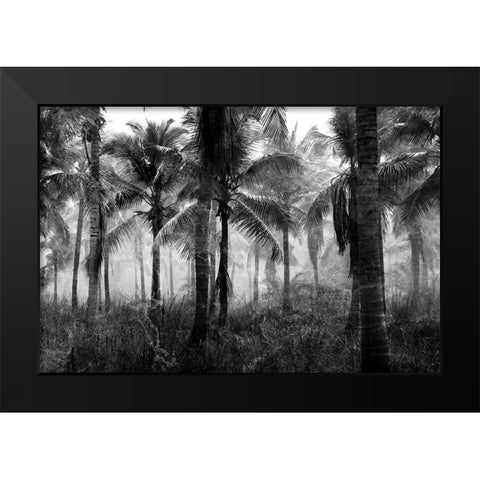 Palms Black And White Black Modern Wood Framed Art Print by Allen, Kimberly