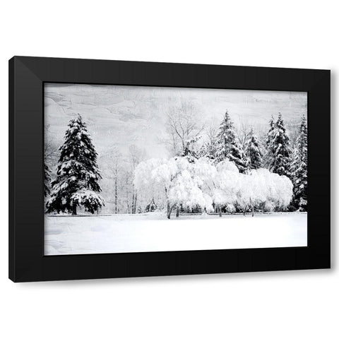 Winter Snow Black Modern Wood Framed Art Print by Allen, Kimberly