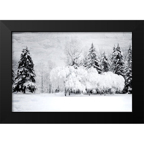 Winter Snow Black Modern Wood Framed Art Print by Allen, Kimberly