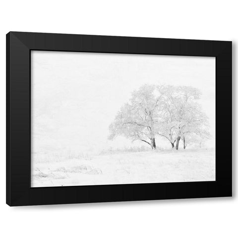 Winter White Black Modern Wood Framed Art Print by Allen, Kimberly