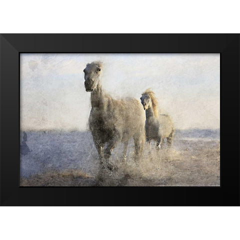 Running Free Black Modern Wood Framed Art Print by Allen, Kimberly