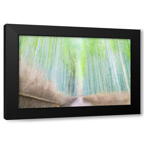 Down the Path Black Modern Wood Framed Art Print by Allen, Kimberly