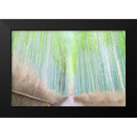 Down the Path Black Modern Wood Framed Art Print by Allen, Kimberly