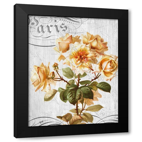 Country Floral 1 Black Modern Wood Framed Art Print with Double Matting by Allen, Kimberly