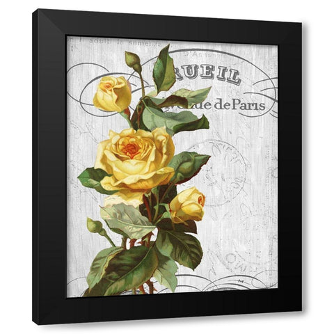 Country Floral 2 Black Modern Wood Framed Art Print with Double Matting by Allen, Kimberly