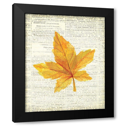In the Fall 1  Black Modern Wood Framed Art Print by Kimberly, Allen
