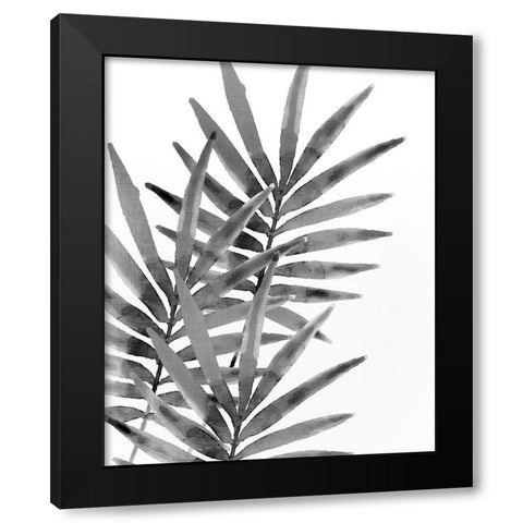 Ferns By Night 1 Black Modern Wood Framed Art Print with Double Matting by Kimberly, Allen