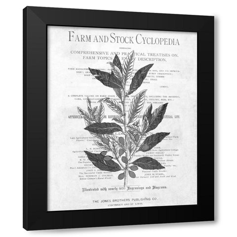Defused Botanical 1 Black Modern Wood Framed Art Print by Kimberly, Allen