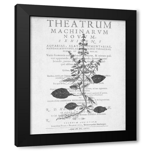 Defused Botanical 2 Black Modern Wood Framed Art Print by Kimberly, Allen