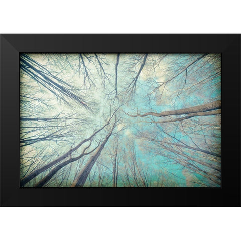 My View Up Black Modern Wood Framed Art Print by Kimberly, Allen