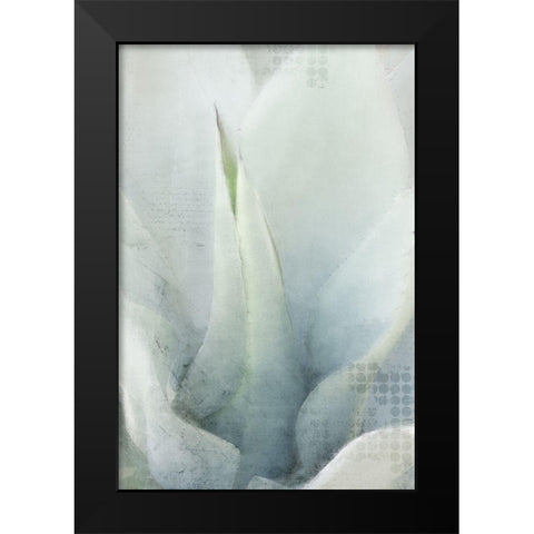 Agave 1 Black Modern Wood Framed Art Print by Kimberly, Allen