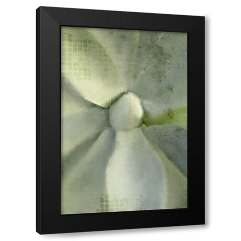 Agave 2 Black Modern Wood Framed Art Print by Kimberly, Allen