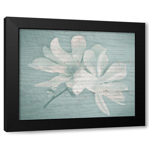 County Bloom Black Modern Wood Framed Art Print with Double Matting by Kimberly, Allen