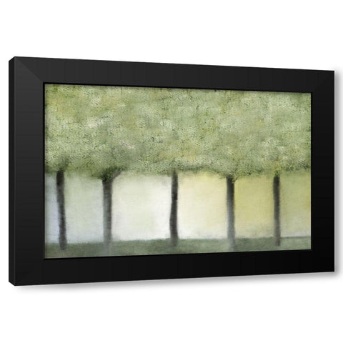 Grove of Trees Black Modern Wood Framed Art Print with Double Matting by Kimberly, Allen