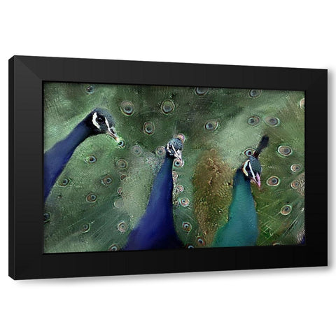 Royal 1 Black Modern Wood Framed Art Print with Double Matting by Kimberly, Allen