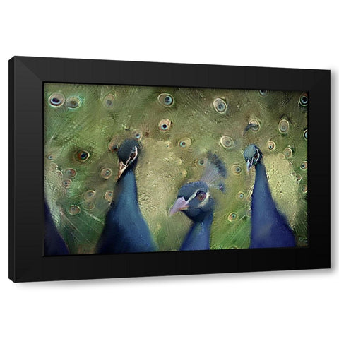 Royal 2 Black Modern Wood Framed Art Print with Double Matting by Kimberly, Allen