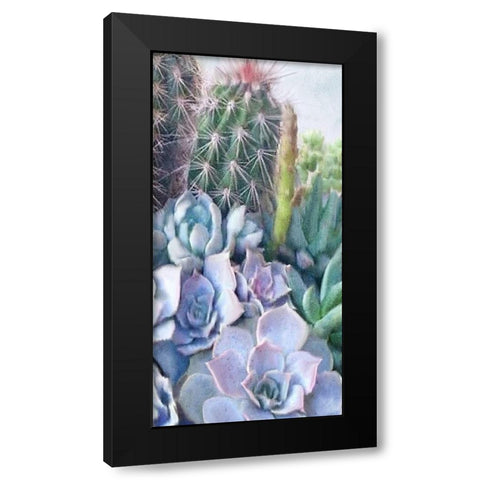 Succulent Garden 1 Black Modern Wood Framed Art Print by Kimberly, Allen